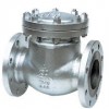 Swing Check Valve