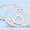 PTFE gasket