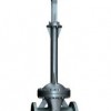 Bellows Gate Valve