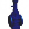 Orbit Plug Valve