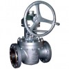 Connection Lift Plug Valve