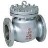 Swing Check Valve