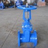 (ANSI) Cast Iron Gate Valve(RS)	