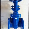  (BS) Cast Iron Gate Valve (RS)