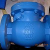 (BS) Cast Iron Check Valve 