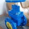 (BS) Cast Iron Gate Valve (NRS)