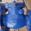  (DIN) Cast Iron Check Valve