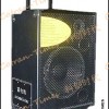 Active Potable Stage Sound Box