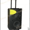 Active Potable Stage Speaker