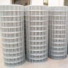 Galvanized welded wire mesh welded wire mesh welded wire mesh pvc mesh 