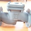 DIN Lift check valve