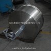 supply titanium forging