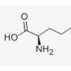 DL-2-AMINOADIPIC ACID