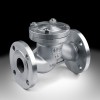 Stainless steel check valve