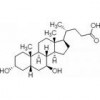 Ursodeoxycholic Acid