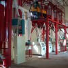 corn and wheat flour production line