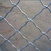 Beautiful Grid Wire Mesh (galvanized, PVC/PE coated)