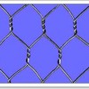 Sell Hexagonal Wire Mesh!