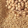 Molecular Sieve (competitive price)