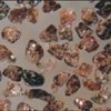 Brown Fused Alumina (competitive price)