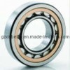 SKF Cylindrical Roller Bearing (NJ2222