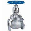 API Stainless Steel Flanged Globe Valve