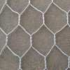 Hexagonal Wire Netting