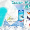 Fever Cooling Patch