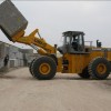 block stone forklift loader