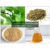 Ginkgo Biloba Extract