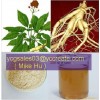 Panax Ginseng Root P.E.