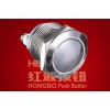 PushButton Switch HBGQ19B-10/S