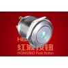 Button Switch HBGQ16F-10D/J