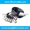 DB25 to 8 XLR 3-pin Cables