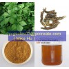 Siberian Ginseng P.E.