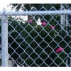 PVC coated chain link fence