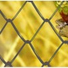 Chain Link Fencing