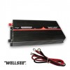 WS-IC1000 WELLSEE Automotive Inverter