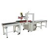 Combination of automatic sweet rice balls packaging machine