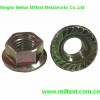 Flange Nut DIN6923 Gr.10.9