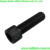 Hexagon Socket Head Cap Screw DIN912-Gr.8.8