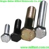 Hex Bolt with ZY/ZP DIN933-Gr.10.9