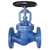 Din Globe Valve