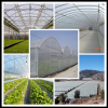 Agricultural Greenhouse Film