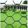 Aining PVC coated chicken wire