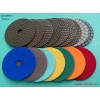 Sell Diamond Polishing Pad