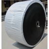 Nylon Conveyor Belt