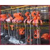 Manual chain hoists pictures and price