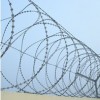 Concertina razor barbed wire/Razor barbed wire/Razor wire