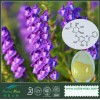 Scutellaria baicalensis Extract